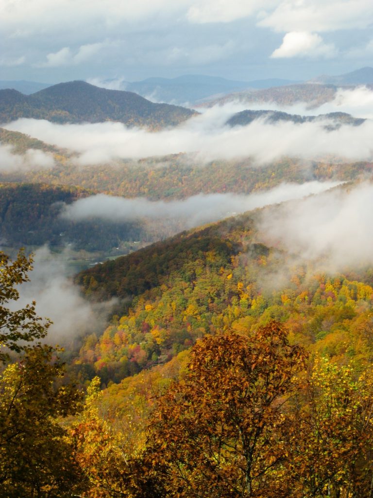 NC Mountain Fall Colors