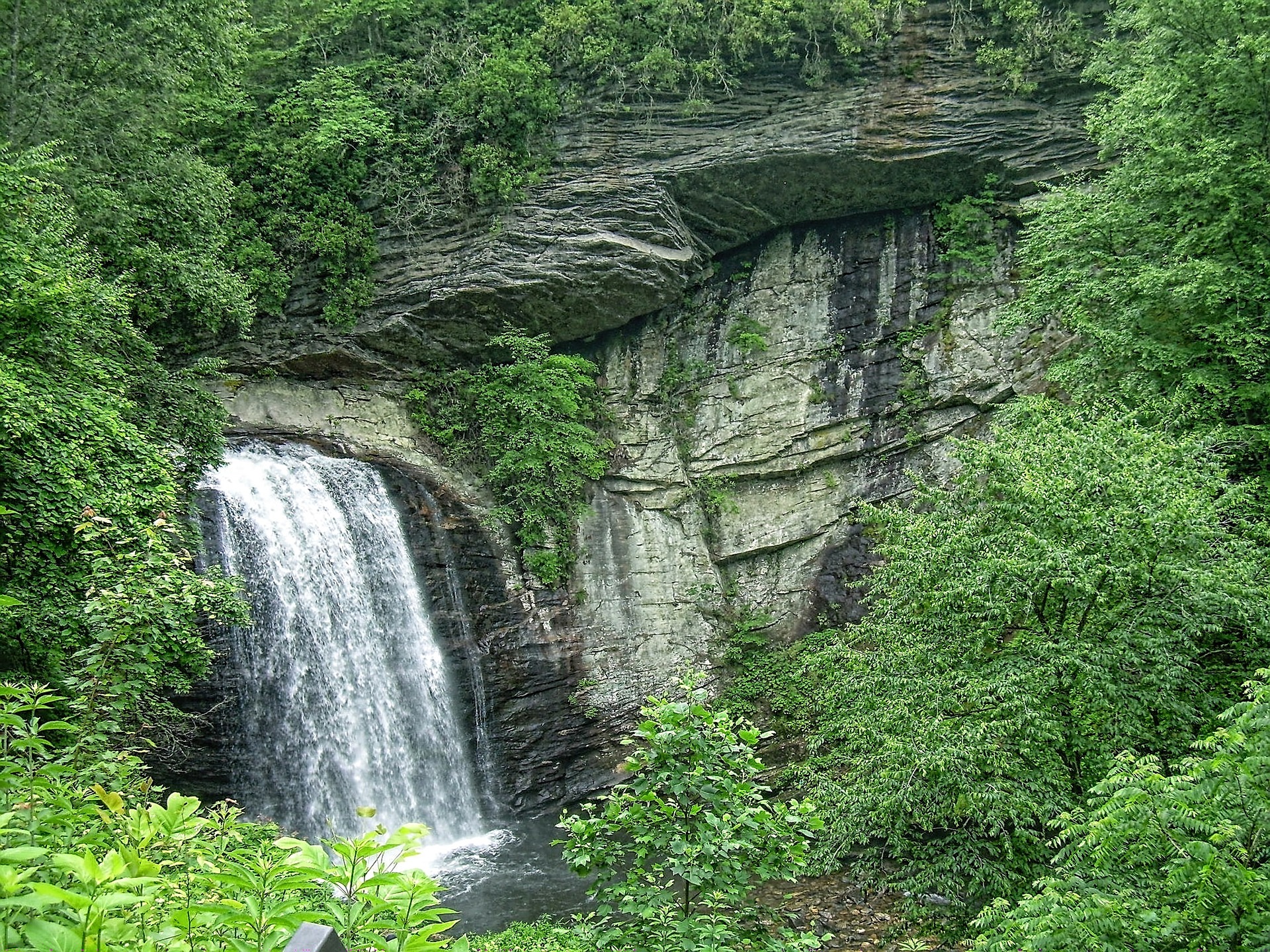 A waterfall in Pisgah National Forest, NC is shown.